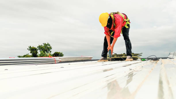 Best Skylight Installation and Repair  in Middleborough Center, MA